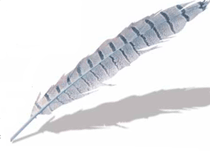 Introducci&oacute;n - Muerte al Manipulador.